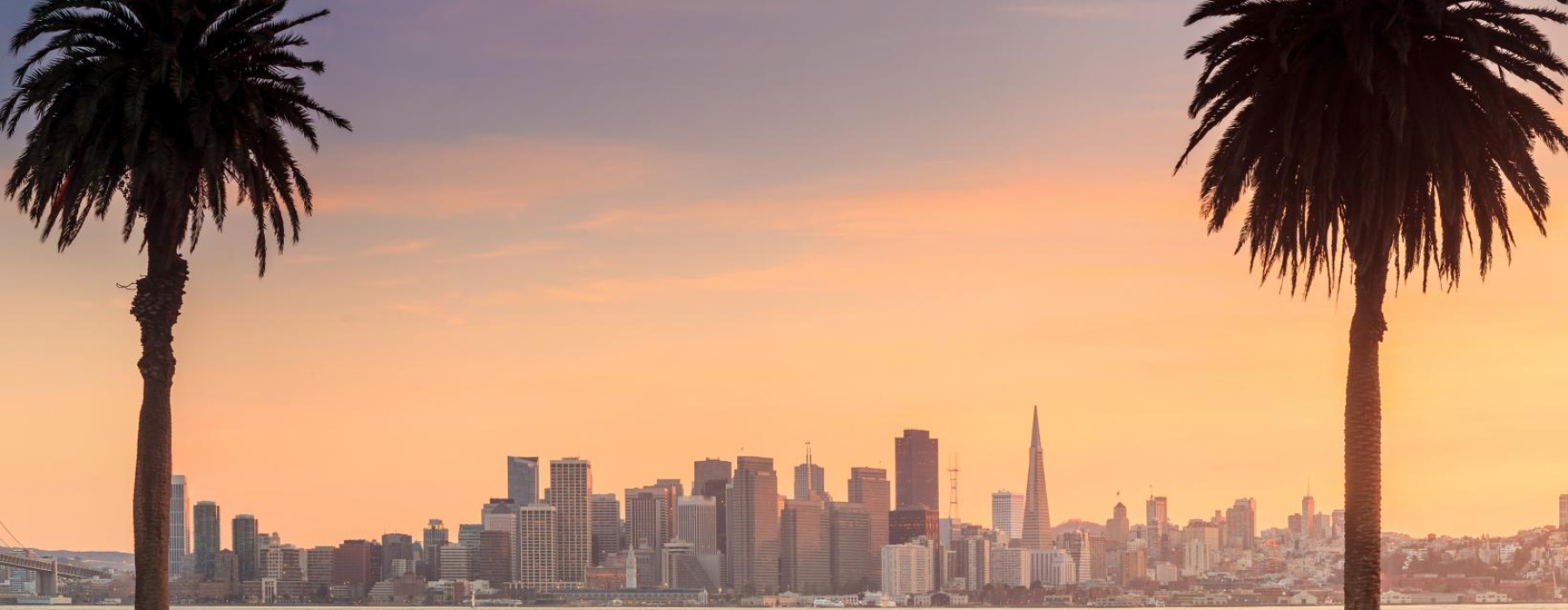 a city skyline with palm trees